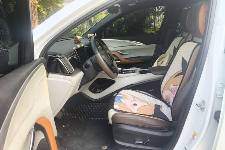 Used BYD Song Pro New Energy 2023 Champion Edition DM-i 110KM Beyond Model Left Front Seat