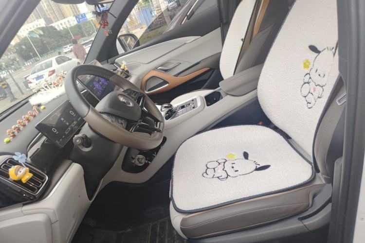 Used BYD Song Pro New Energy 2023 Champion Edition DM-i 110KM Beyond Model Left Front Seat