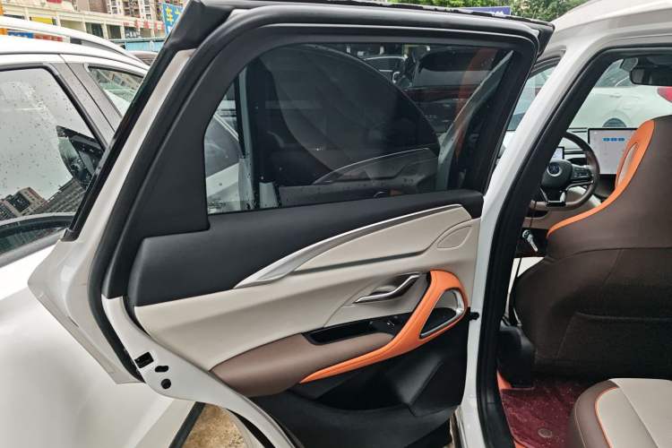 Used BYD Song Pro New Energy 2023 Champion Edition DM-i 110KM Beyond Model Left Rear Door Interior