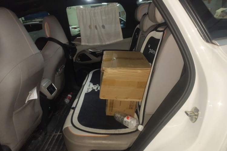 Used BYD Song Pro New Energy 2023 Champion Edition DM-i 110KM Excellence Model Left Rear Seat
