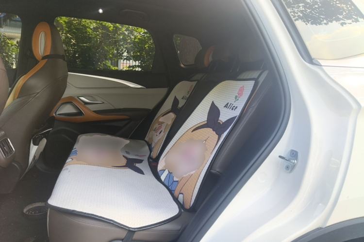 Used BYD Song Pro New Energy 2023 Champion Edition DM-i 110KM Beyond Model Left Rear Seat