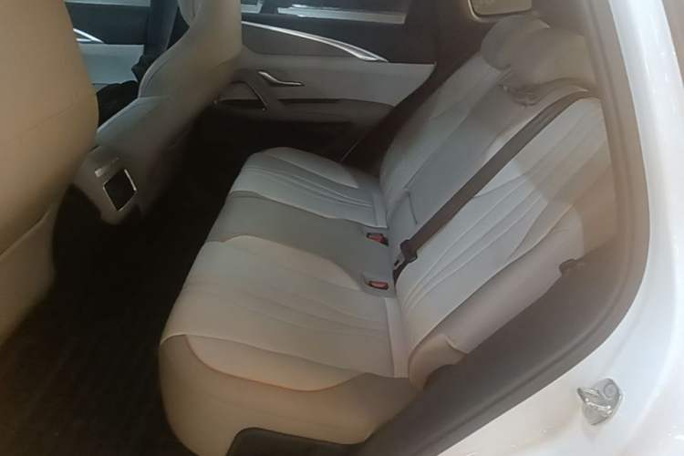 Used BYD Song Pro New Energy 2023 Champion Edition DM-i 71KM Leading Model Left Rear Seat