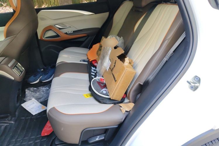 Used BYD Song Pro New Energy 2023 Champion Edition DM-i 110KM Excellence Model Left Rear Seat