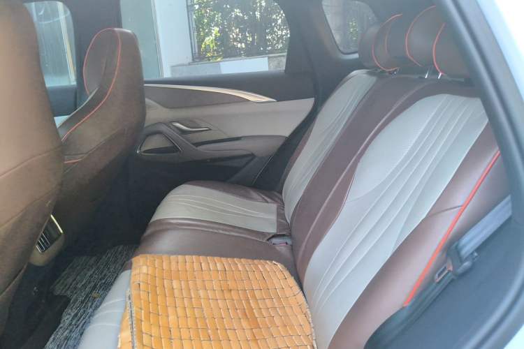 Used BYD Song Pro New Energy 2023 Champion Edition DM-i 110KM Excellence Model Left Rear Seat