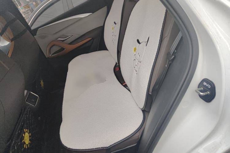 Used BYD Song Pro New Energy 2023 Champion Edition DM-i 110KM Beyond Model Left Rear Seat