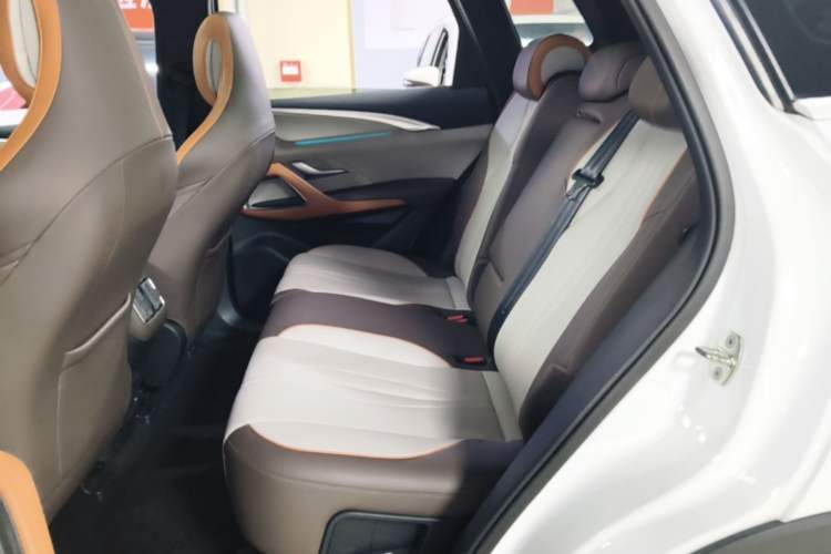 Used BYD Song Pro New Energy 2023 Champion Edition DM-i 110KM Excellence Model Left Rear Seat