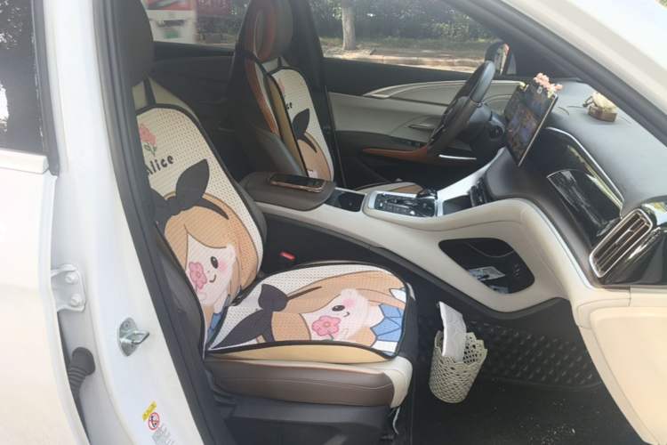 Used BYD Song Pro New Energy 2023 Champion Edition DM-i 110KM Beyond Model Right Front Seat