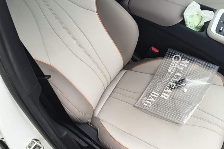 Used BYD Song Pro New Energy 2023 Champion Edition DM-i 71KM Beyond Model Right Front Seat