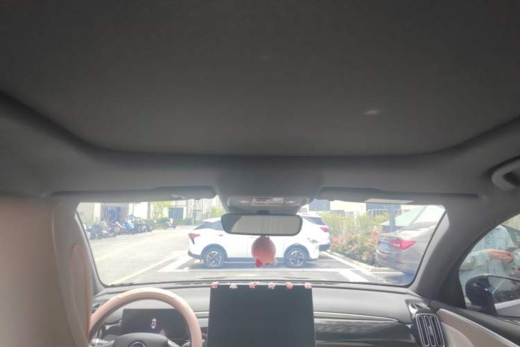 Used BYD Song Pro New Energy 2024 HONOR Edition DM-i 110KM Excellence Model Headliner