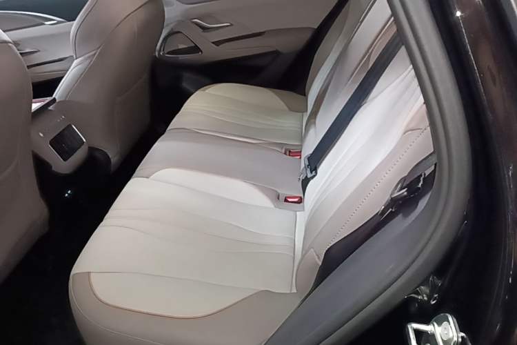 Used BYD Song Pro New Energy 2024 HONOR Edition DM-i 71KM Navigation Model Left Rear Seat
