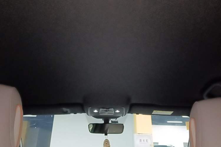 Used BYD Song Pro New Energy 2024 HONOR Edition DM-i 71KM Navigation Model Headliner