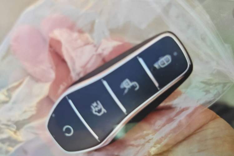 Used BYD Song Pro New Energy 2024 HONOR Edition DM-i 71KM Navigation Model Vehicle Key