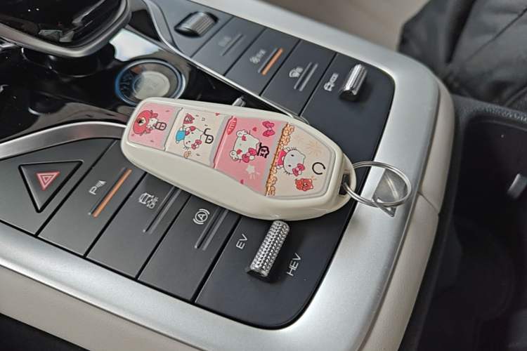 Used BYD Song Pro New Energy 2024 HONOR Edition DM-i 71KM Navigation Model Vehicle Key