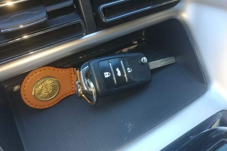 Used BYD Song Pro New Energy 2024 HONOR Edition DM-i 71KM Navigation Model Vehicle Key