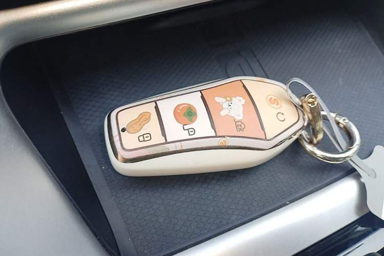 Used BYD Song Pro New Energy 2024 HONOR Edition DM-i 110KM Excellence Model Interior 1
