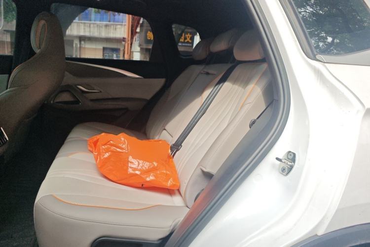 Used BYD Song Pro New Energy 2024 HONOR Edition DM-i 110KM Beyond Model Left Rear Seat