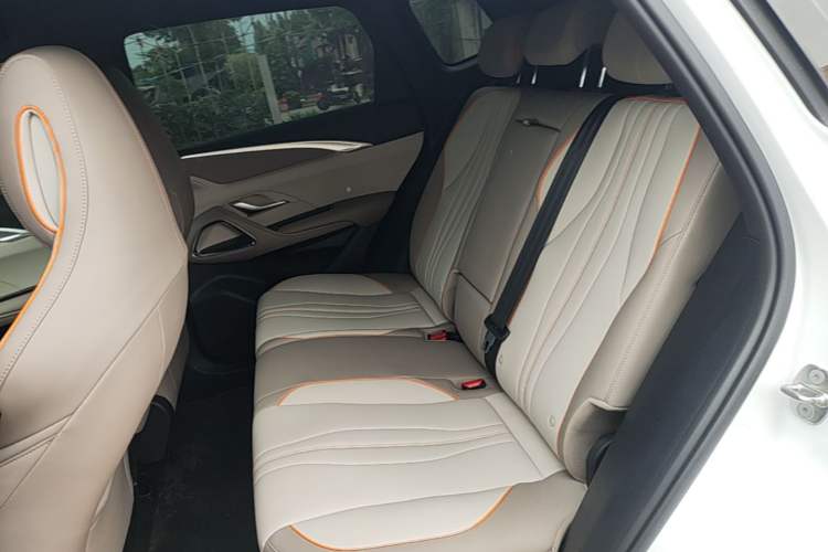Used BYD Song Pro New Energy 2024 HONOR Edition DM-i 71KM Navigation Model Left Rear Seat
