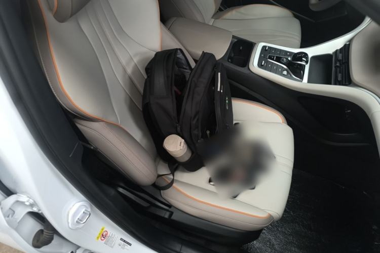Used BYD Song Pro New Energy 2024 HONOR Edition DM-i 71KM Navigation Model Right Front Seat