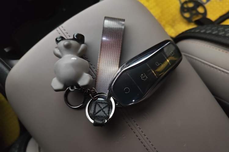 Used BYD Song Pro New Energy 2024 HONOR Edition DM-i 71KM Navigation Model Vehicle Key