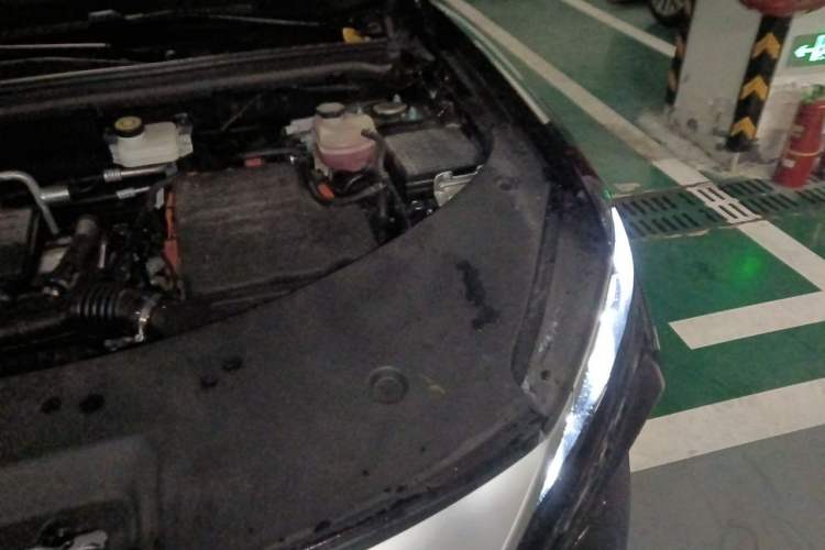Used BYD Song Pro New Energy 2025 Second-Generation DM-i 75KM Leading Edition Engine Bay Left