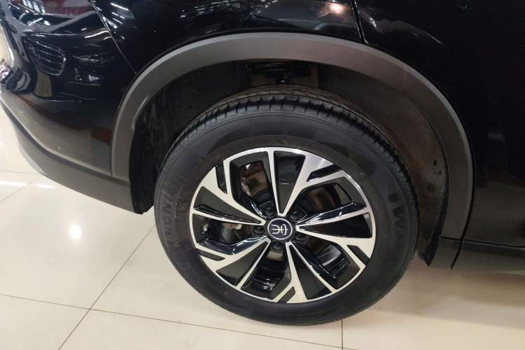 Used BYD Song Pro New Energy 2025 Second-Generation DM-i 115KM Overachiever Trim Exterior 5