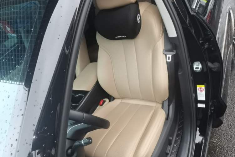 Used BYD Song Pro New Energy 2025 Second-Generation DM-i 75KM Overachiever Trim Left Front Seat