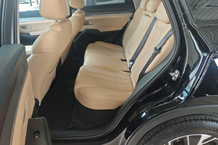 Used BYD Song Pro New Energy 2025 Second-Generation DM-i 75KM Overachiever Trim Left Rear Seat