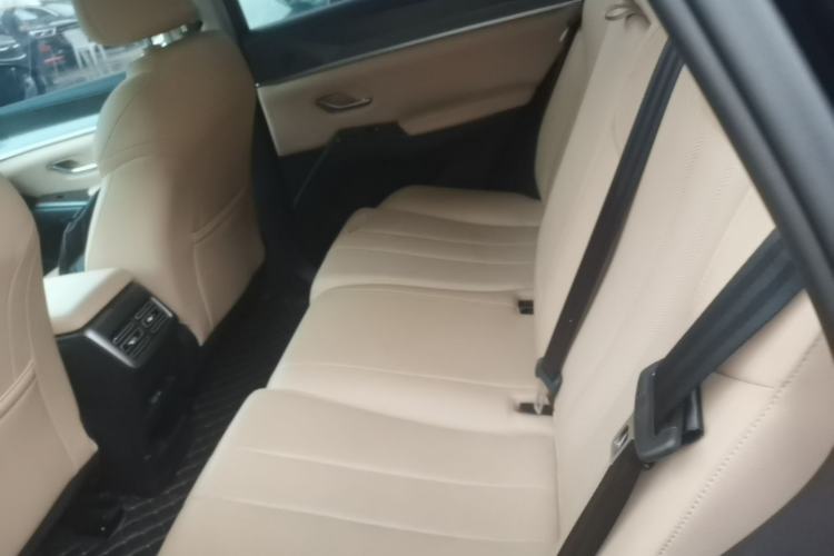 Used BYD Song Pro New Energy 2025 Second-Generation DM-i 75KM Overachiever Trim Left Rear Seat