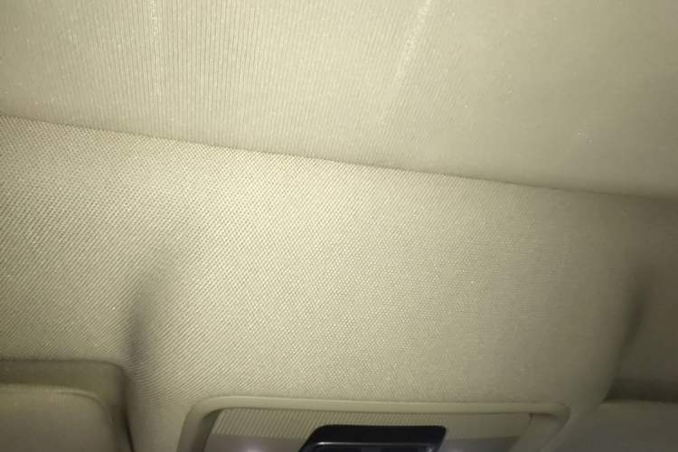 Used BYD Song Pro New Energy 2025 Second-Generation Intelligent Driving Version DM-i 115KM Superior Trim Headliner