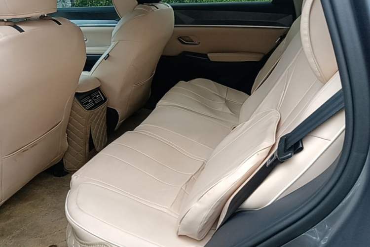 Used BYD Song Pro New Energy 2025 2nd Generation Intelligent Driving Version DM-i 75KM Leading Edition Left Rear Seat