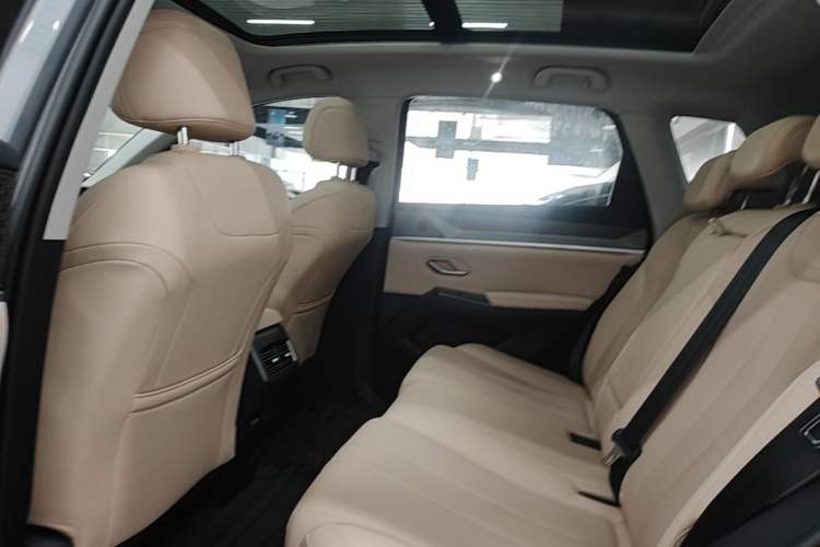 Used BYD Song Pro New Energy 2025 Second-Generation DM-i 75KM Overachiever Trim Left Rear Seat