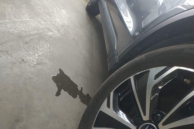 Used BYD Song Pro New Energy 2025 Second-Generation Intelligent Driving Version DM-i 115KM Superior Trim Right Side Sill