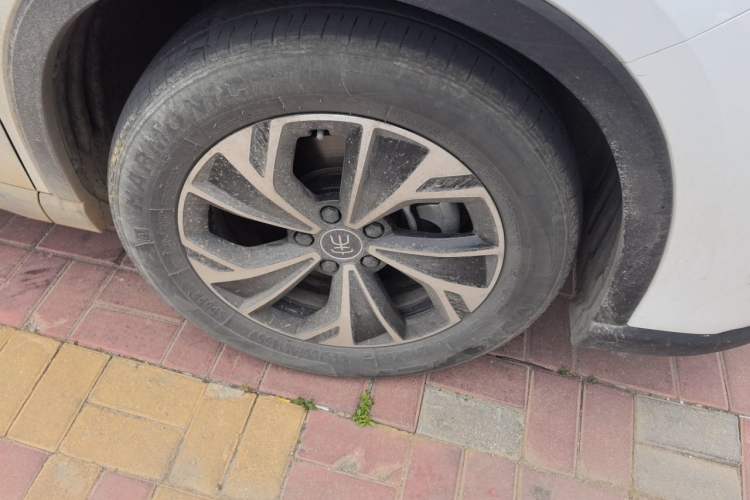 Used BYD Song Pro New Energy 2025 Second-Generation DM-i 115KM Overachiever Trim Exterior 7