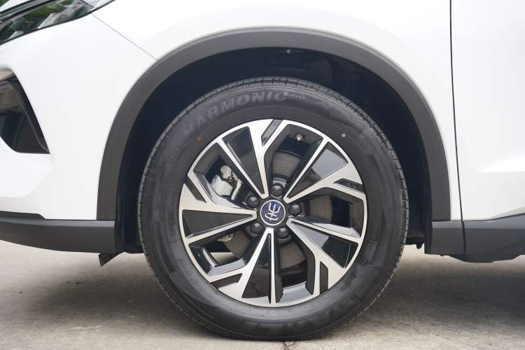 Used BYD Song Pro New Energy 2025 Second-Generation DM-i 115KM Overachiever Trim Exterior 9