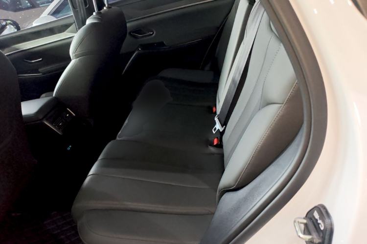 Used BYD Song Pro New Energy 2025 2nd Generation Intelligent Driving Version DM-i 75KM Leading Edition Left Rear Seat