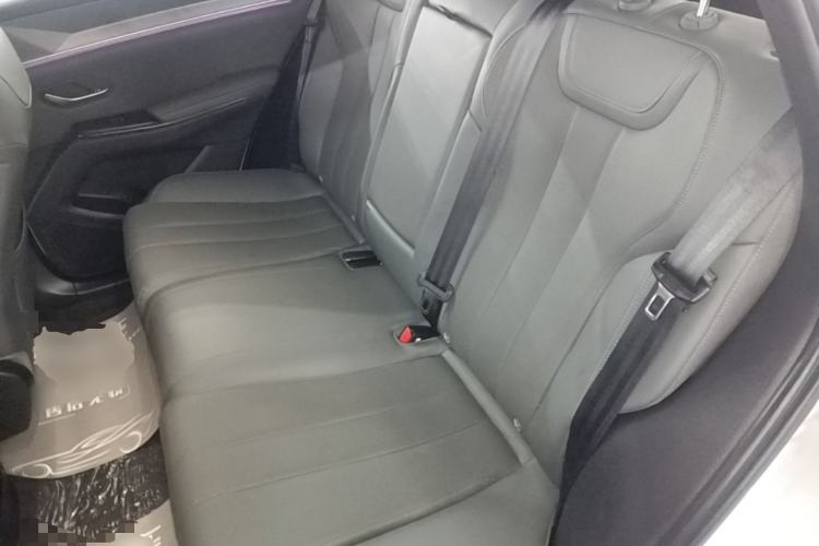 Used BYD Song Pro New Energy 2025 Second-Generation Intelligent Driving Version DM-i 115KM Superior Trim Left Rear Seat