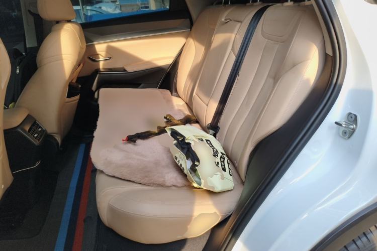 Used BYD Song Pro New Energy 2025 Second-Generation DM-i 115KM Overachiever Trim Left Rear Seat