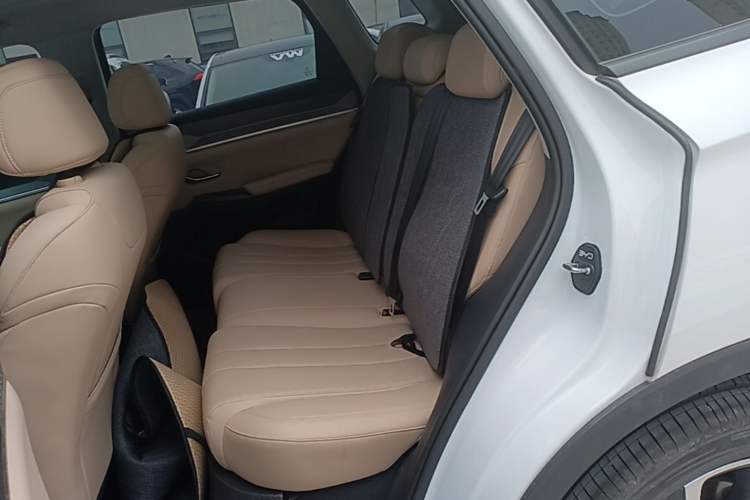 Used BYD Song Pro New Energy 2025 Second-Generation DM-i 115KM Excellence Version Left Rear Seat
