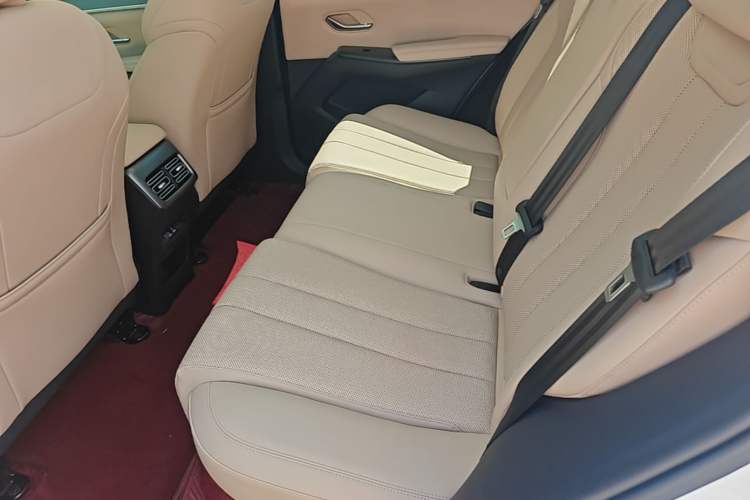 Used BYD Song Pro New Energy 2025 Second-Generation DM-i 115KM Excellence Version Left Rear Seat
