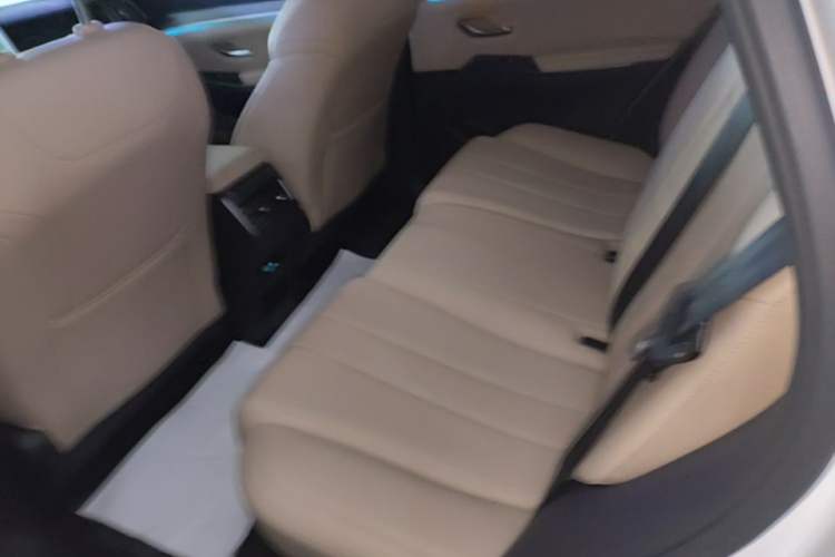 Used BYD Song Pro New Energy 2025 Second-Generation DM-i 115KM Excellence Version Left Rear Seat