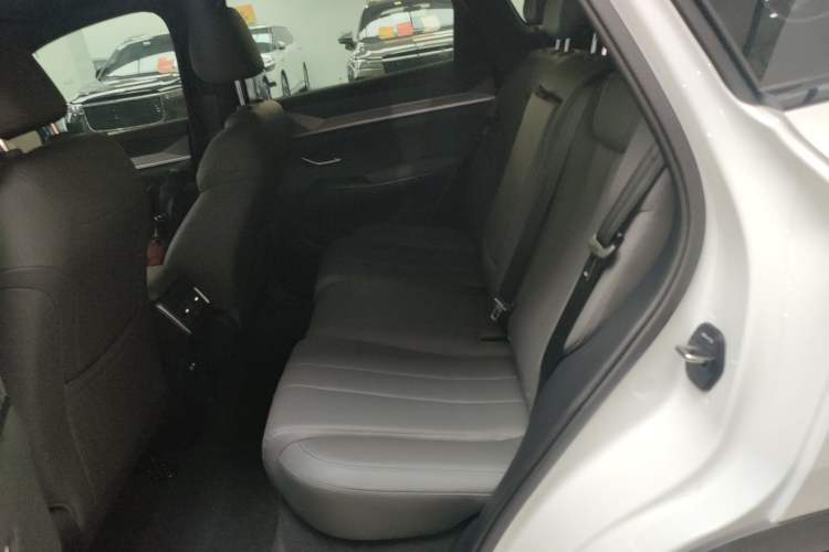 Used BYD Song Pro New Energy 2025 2nd Generation Intelligent Driving Version DM-i 75KM Leading Edition Left Rear Seat