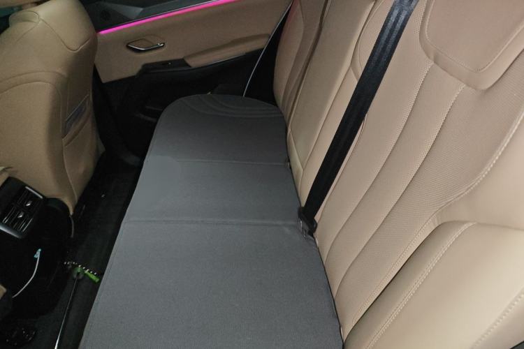 Used BYD Song Pro New Energy 2025 Second-Generation DM-i 115KM Overachiever Trim Left Rear Seat
