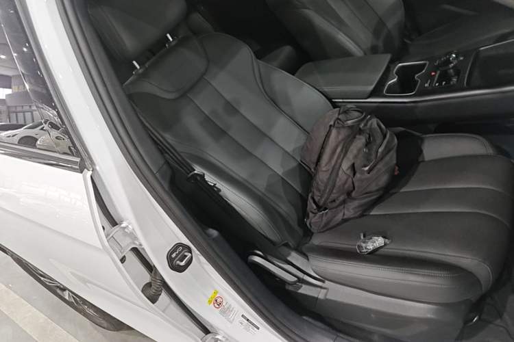 Used BYD Song Pro New Energy 2025 2nd Generation Intelligent Driving Version DM-i 75KM Leading Edition Right Front Seat