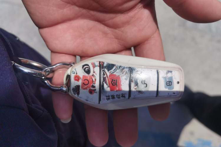 Used BYD Song Pro New Energy 2025 Second-Generation DM-i 75KM Leading Edition Vehicle Key