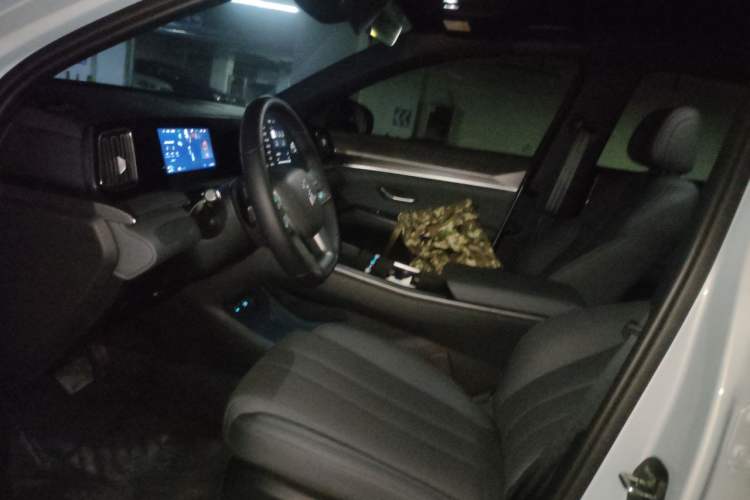 Used BYD Song Pro New Energy 2026 Model DM-i 133KM Superior Version Left Front Seat
