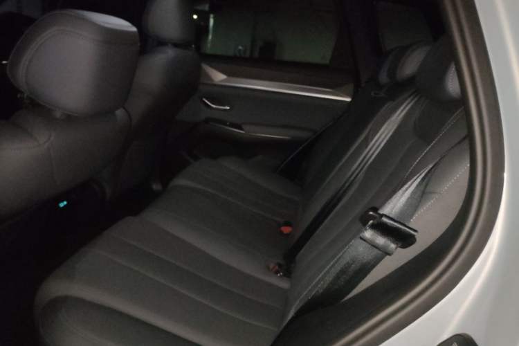 Used BYD Song Pro New Energy 2026 Model DM-i 133KM Superior Version Left Rear Seat