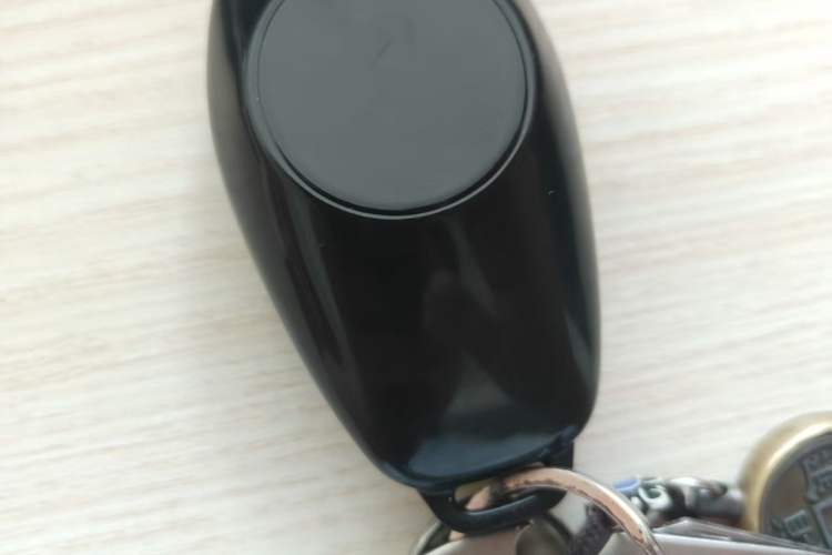 Used BYD Song Pro New Energy 2026 Model DM-i 133KM Progressive Version Vehicle Key