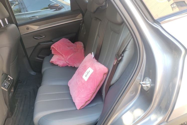 Used BYD Song Pro New Energy 2026 Model DM-i 220KM Beyond Version Left Rear Seat