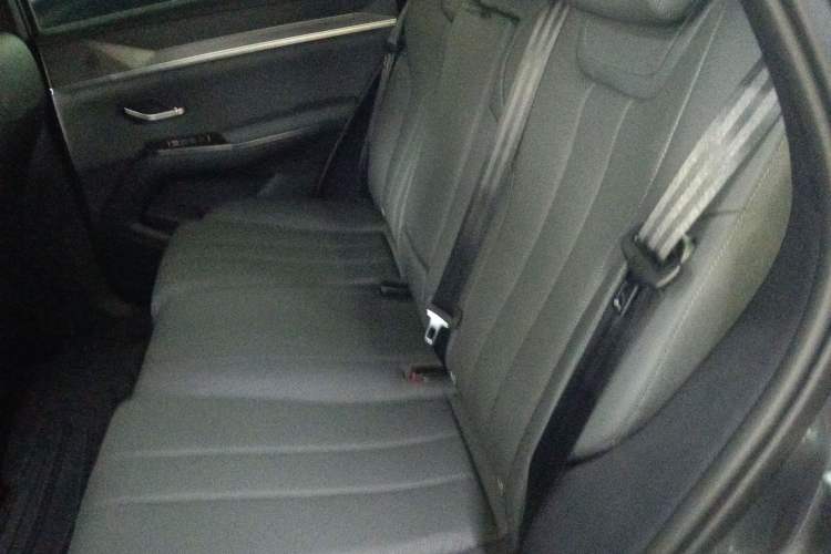 Used BYD Song Pro New Energy 2026 Model DM-i 133KM Superior Version Left Rear Seat