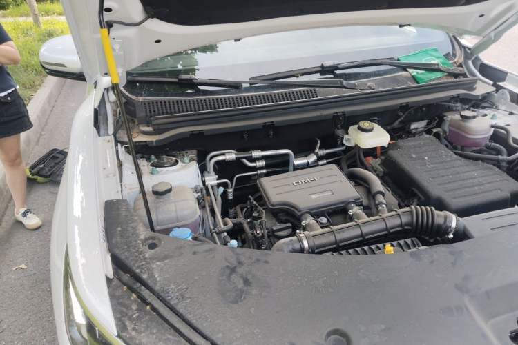 Used BYD Song Pro New Energy 2026 Model DM-i 133KM Progressive Version Engine Bay Right